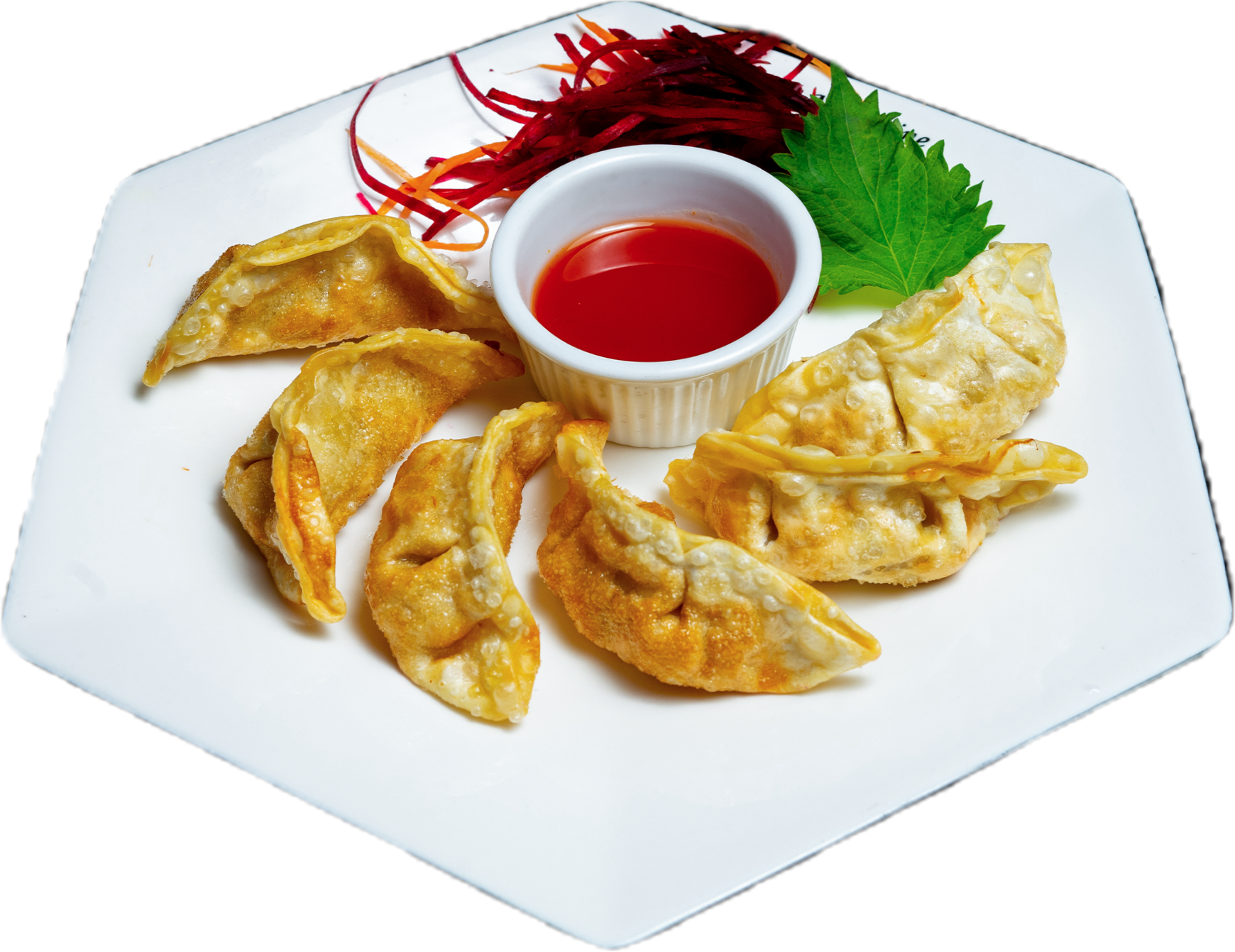 Gyoza